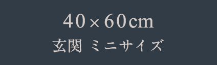 40x60㎝ 玄関 ミニサイズ