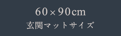 60x90㎝ 玄関マットサイズ