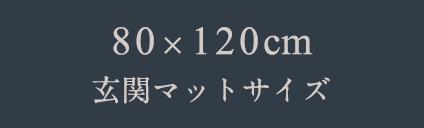 80x120㎝　玄関マットサイズ