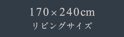 170x240㎝　リビングサイズ