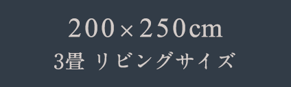 200x250㎝　3畳 リビングサイズ