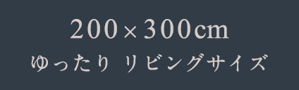 200x300㎝　ゆったり リビングサイズ