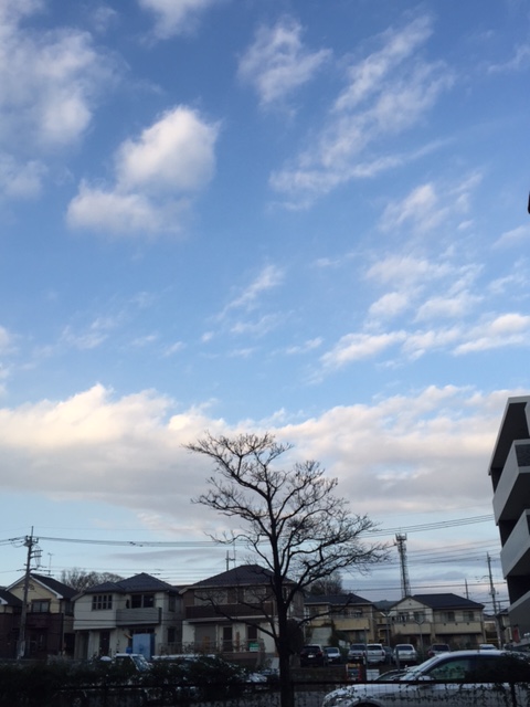 遊牧民が見ている風景