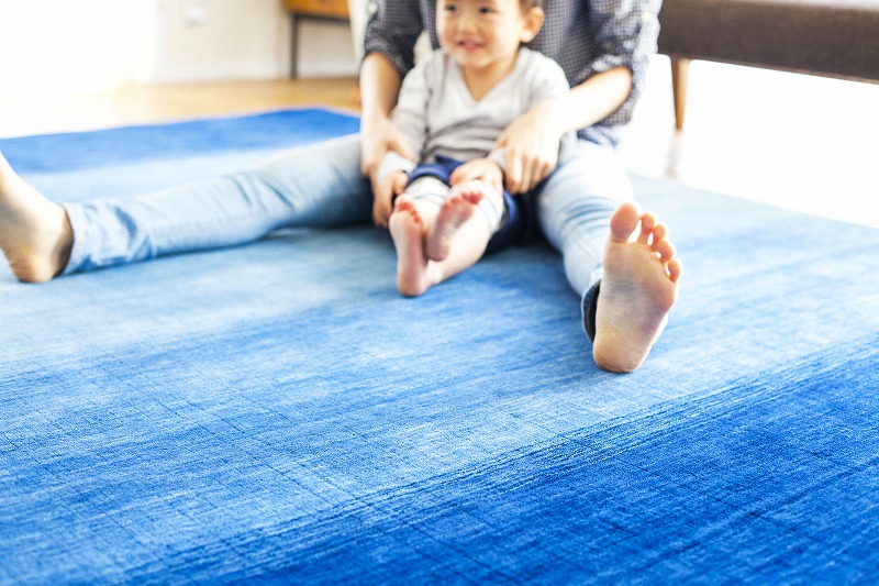 青のハグみじゅうたんの上で親子が座っている