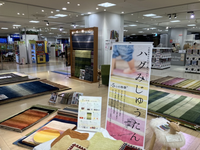 海老名マルイハグみ展